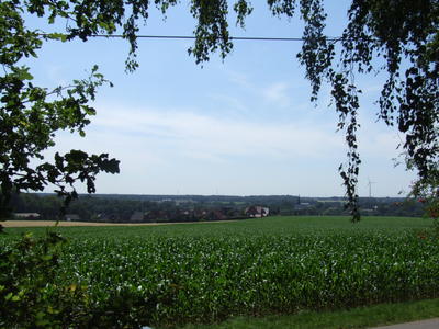 Bildergalerie
