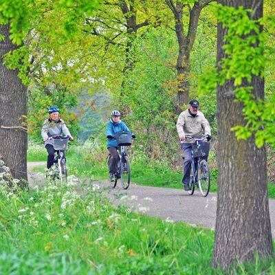 Bild vergr&ouml;&szlig;ern: Radwandertag