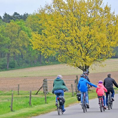 Bild vergr&ouml;&szlig;ern: Radwandertag