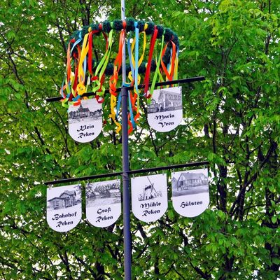 Bild vergr&ouml;&szlig;ern: Maibaum - Maisingen HV 8.5.23 028 (1)