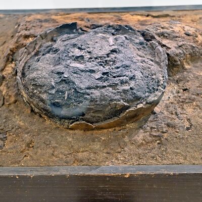 Bild vergr&ouml;&szlig;ern: Radberg Ausstellung