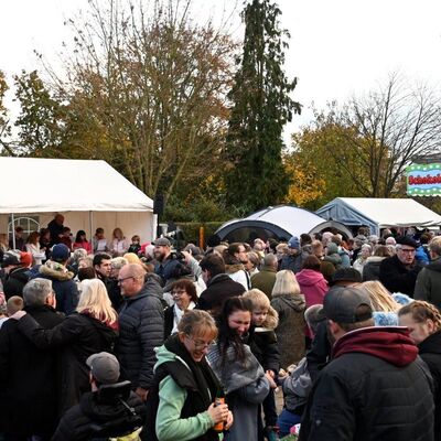 Bild vergr&ouml;&szlig;ern: Martinsmarkt MV 2023
