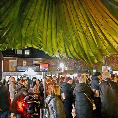 Bild vergr&ouml;&szlig;ern: Lichterfest BR 