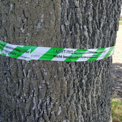 Bild vergr&ouml;&szlig;ern: EPS-Flatterband