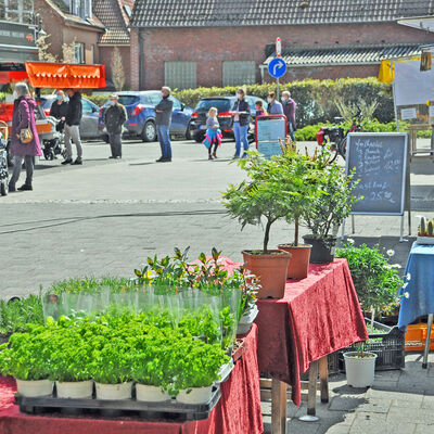 Rekener Wochenmarkt